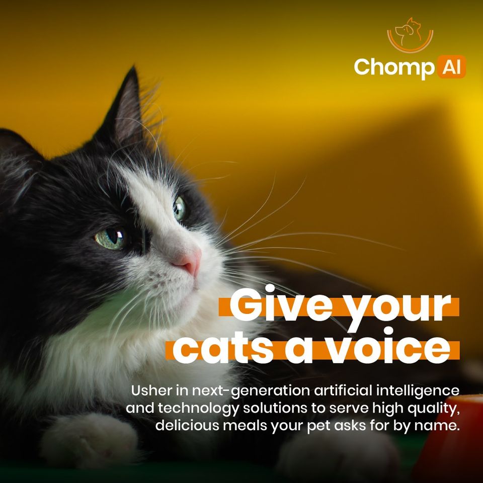 ChompAI pet tech digital ads