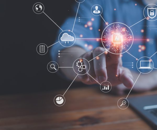 The Brand Bunker delivers professional marketing expertise and cutting-edge digital and traditional services